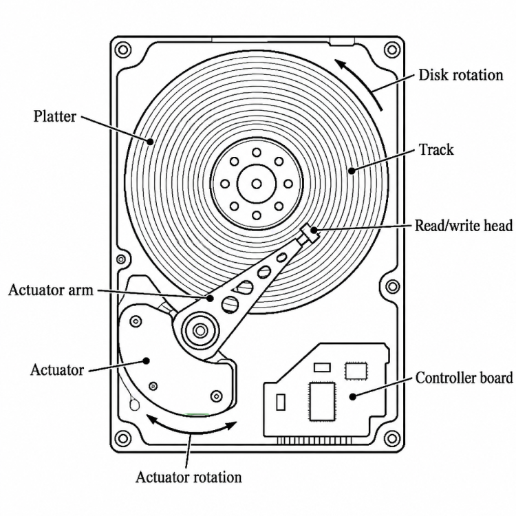 Black-and-white line drawing of a hard disk seen from above. A large circular platter is covered in thin concentric rings, with a small central hub held by six screws. A long arm on the left, labelled "Suspension Arm", reaches from a round "Rotary Actuator" toward the platter, where its tip, labelled "Slider", touches the surface.