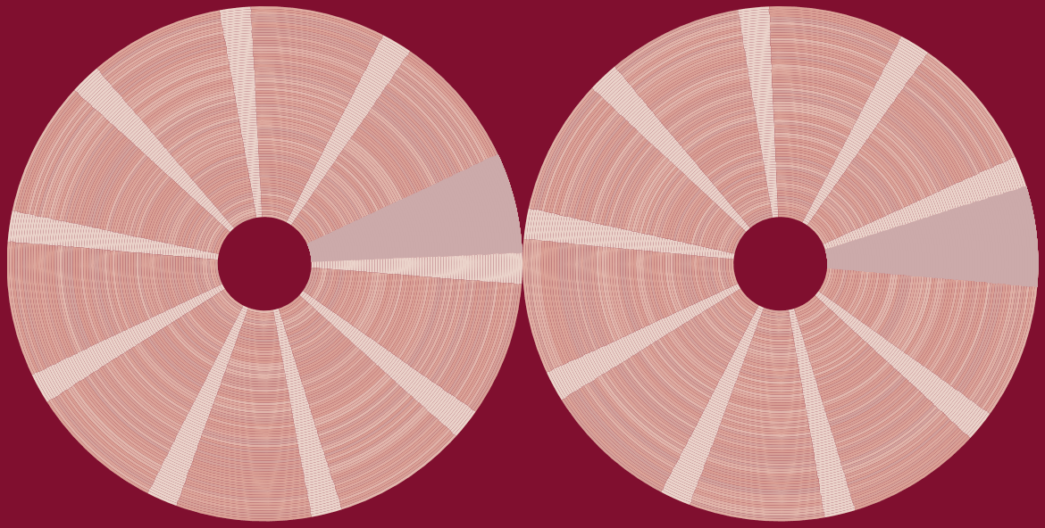 Two big circles with a hole in the middle, their surface is covered with radial sectors and rings (similar to trees) colored by various red shades